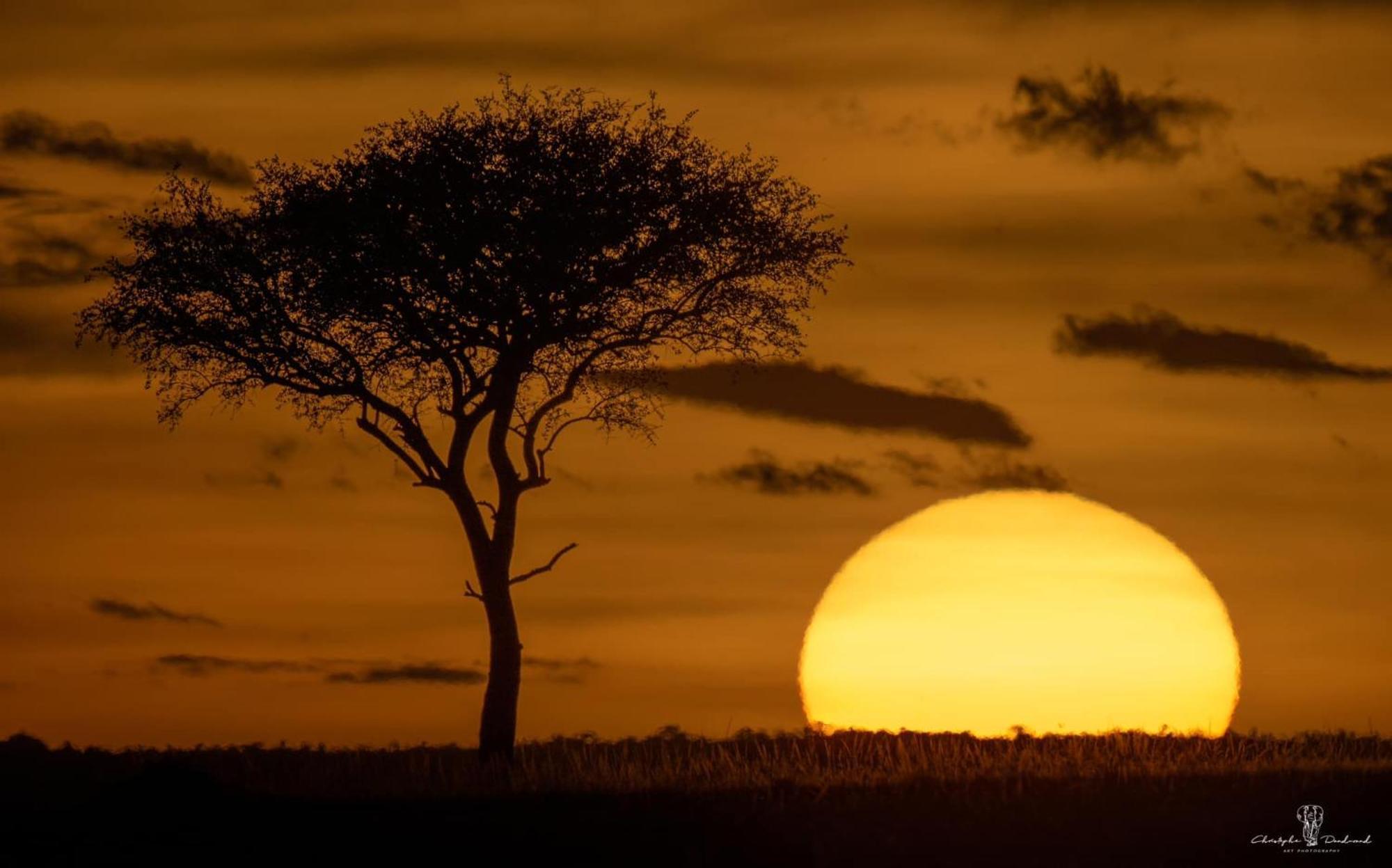 Mara Major Camp Hotel Maasai Mara Exterior photo